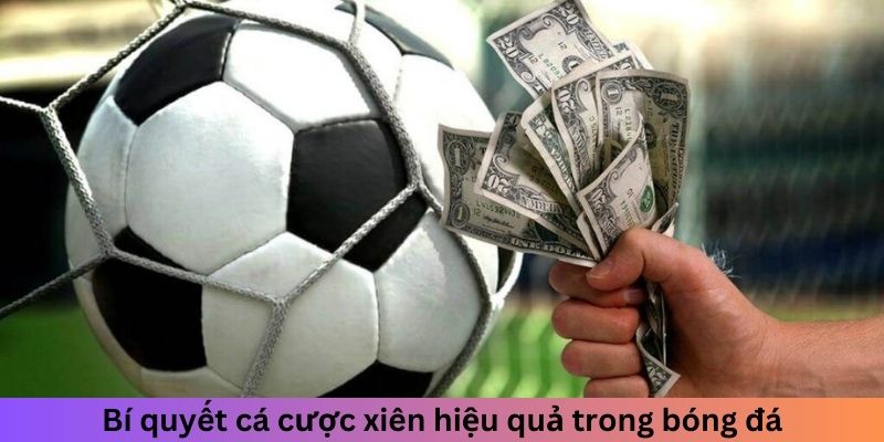 Cược Xiên - Phương Pháp Mới Lạ Cho Người Mới Bắt Đầu Bí quyết cá cược hiệu quả trong bóng đá