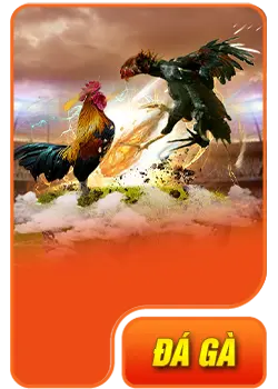ABC8 - Trang Chủ Chính Thức Của ABC8.COM da ga 1
