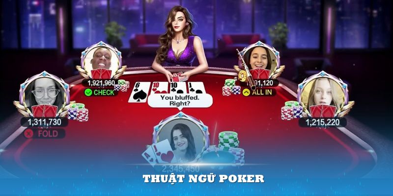 Thuật Ngữ Poker Là Gì? Giải Nghĩa Cực Chuẩn Cho Tân Binh thuật ngữ poker ám chỉ vị trí