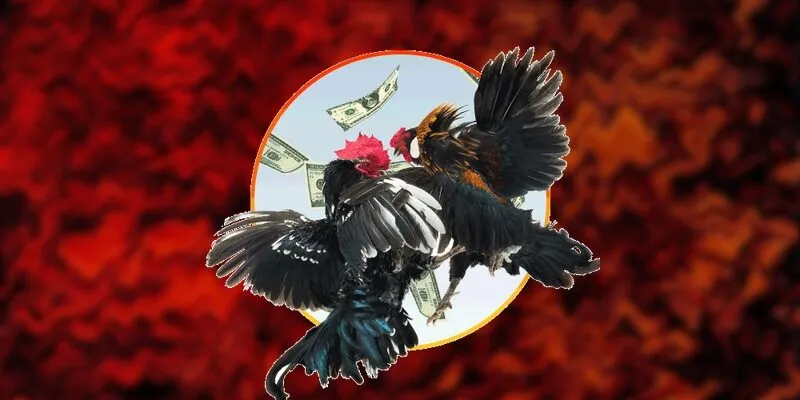 da-ga-cua-dao-1